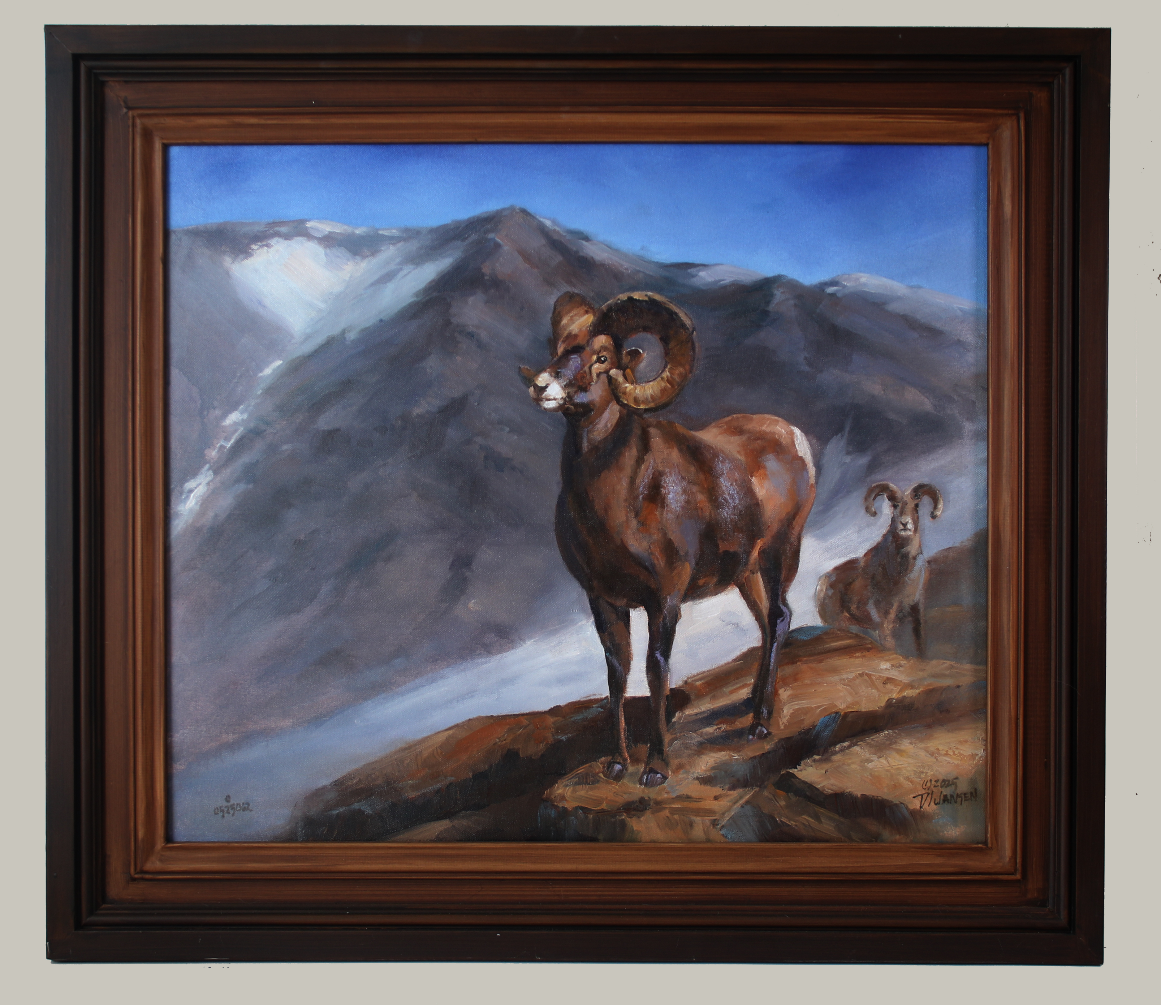 25062- 24 X 28 Inches