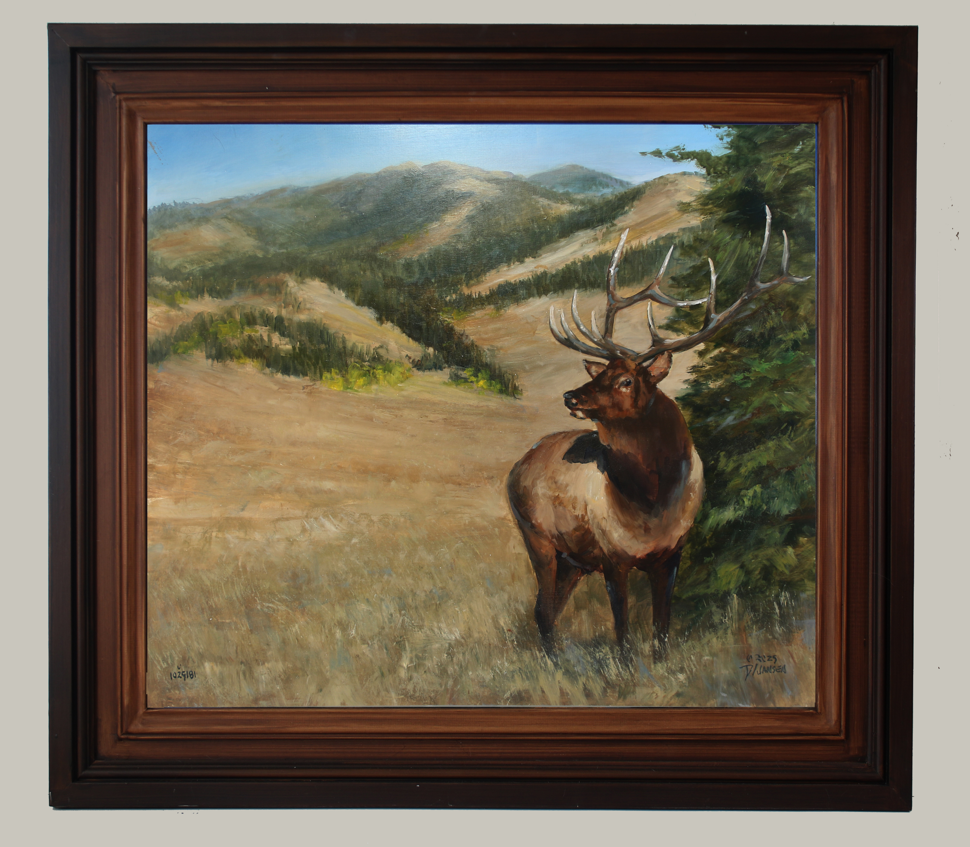 25181- 24 X 27 Inches